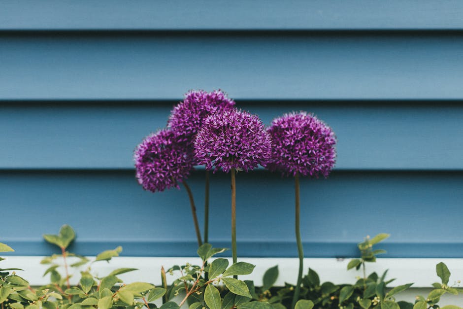 Colorful Garden Borders That Make a Statement