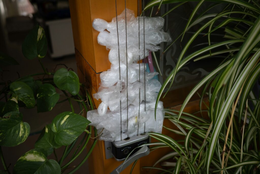 How to Start a Zero-Waste Garden in Your Backyard