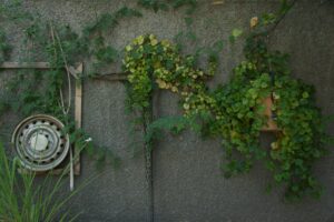 Repurposed Objects That Add Personality to Gardens