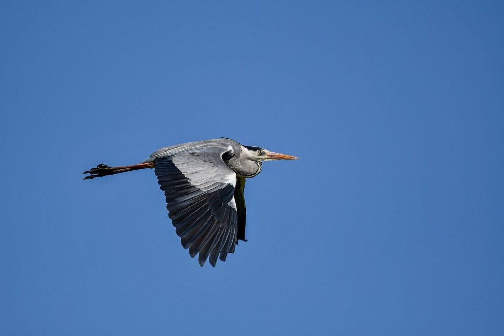 safest cities in georgia for black families