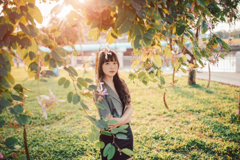 sarah j maas assassin's blade series order