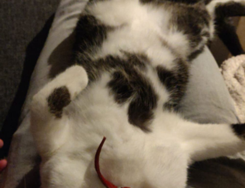 designing garden beds kdagardenation