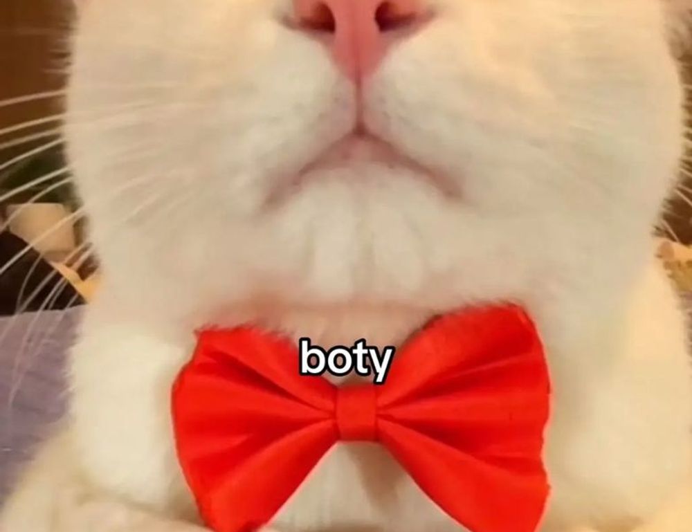 family advice drhandybility