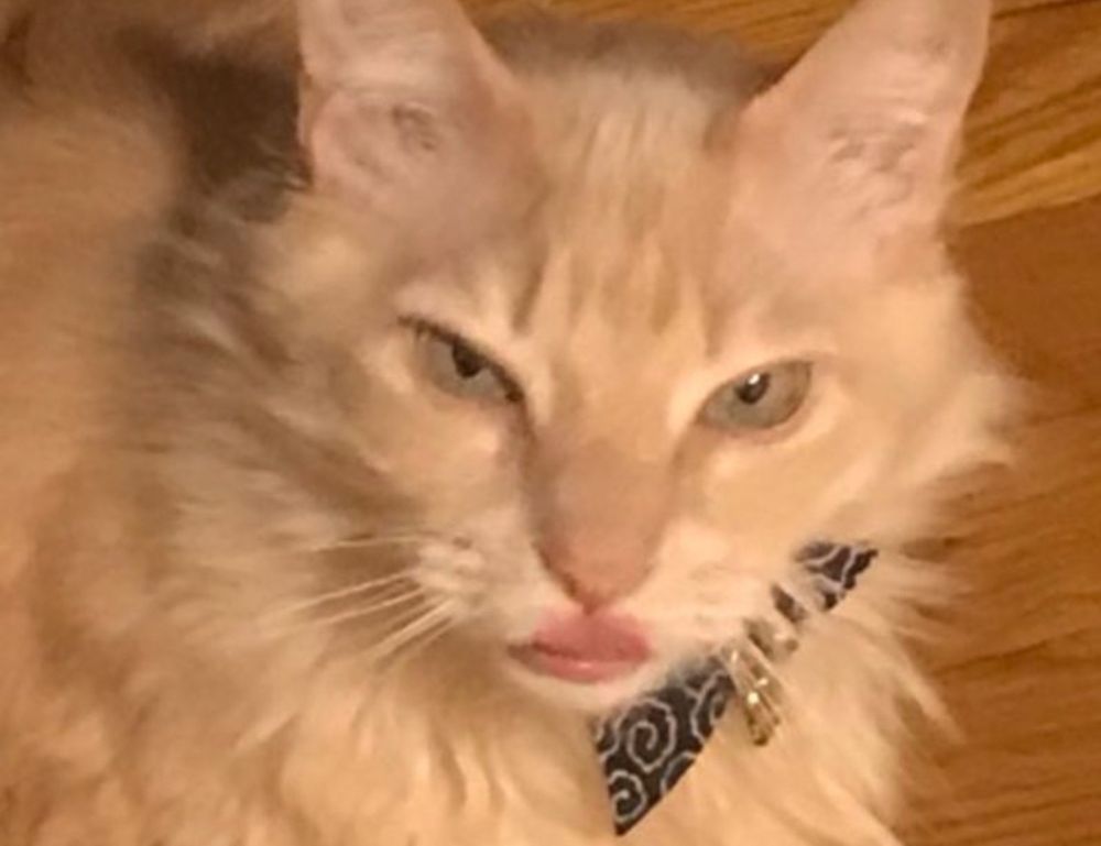 general home advice mrshomegen