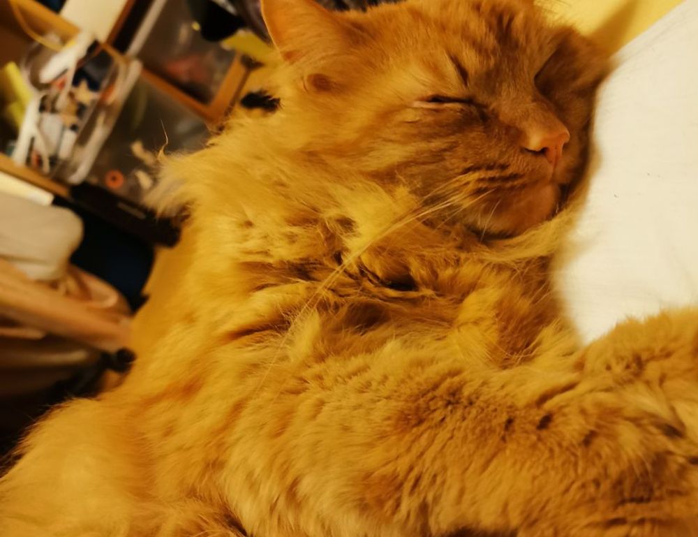 general home guide mrshomegen