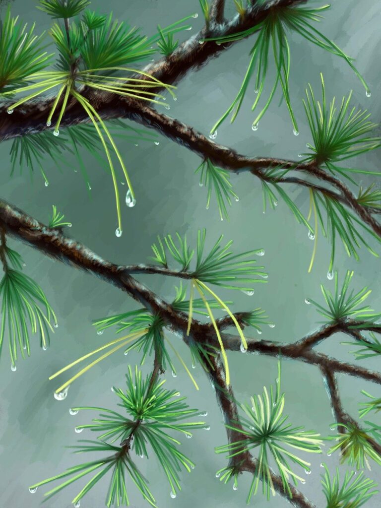 handy tips drhandybility