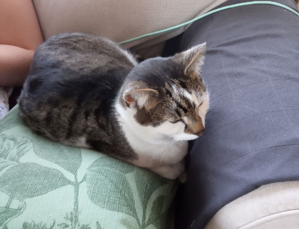 home guide drhandybility