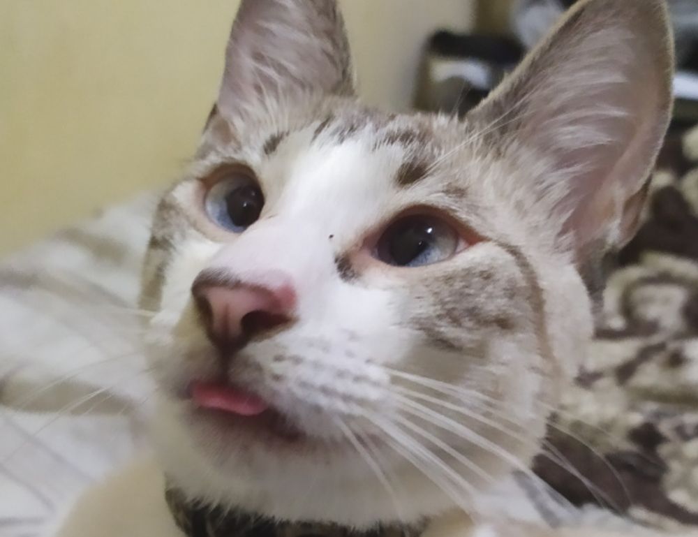 house renovation guide heartomenal