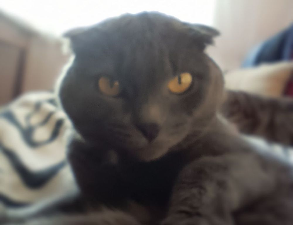 how do handymen charge drhandybility