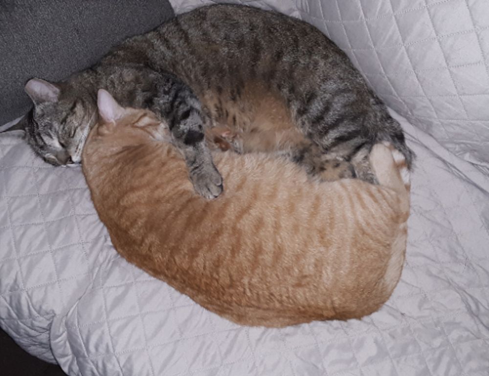 how interior design works mintpalment