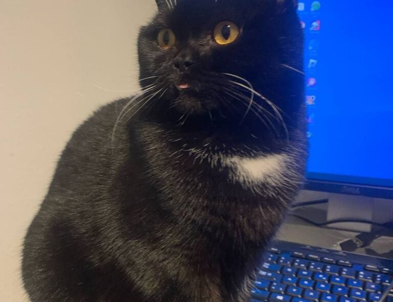 how to design a garden kdagardenation