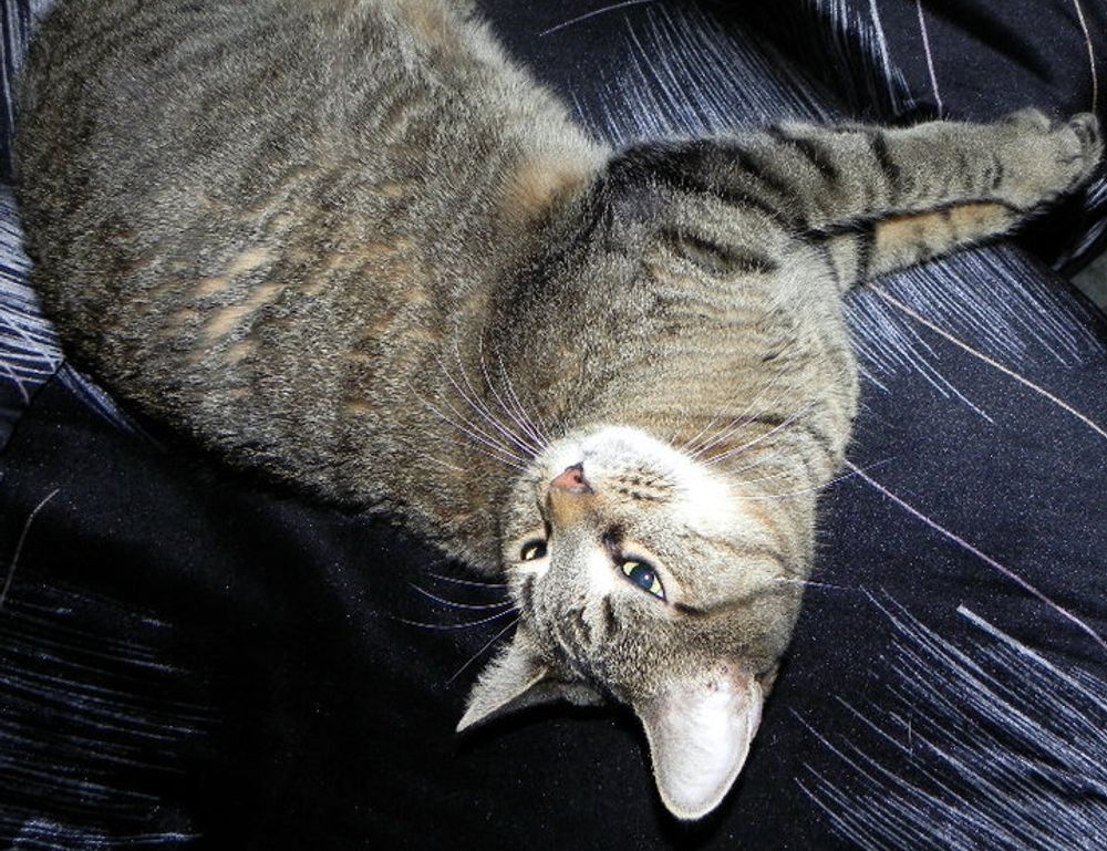 how to interior design a room kdadesignology