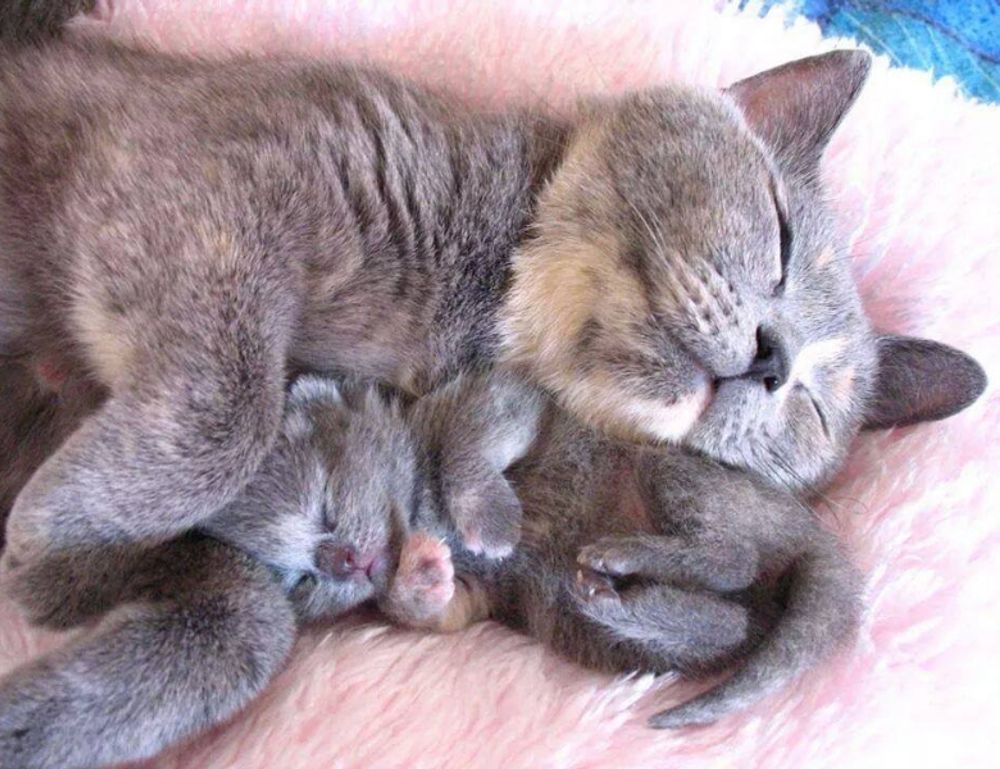 interior decoration miprenovate