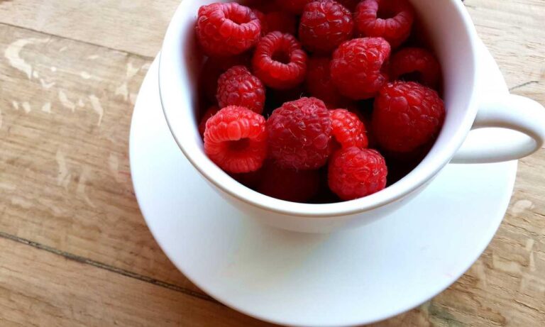 kdadesignology interior design by kdarchitects