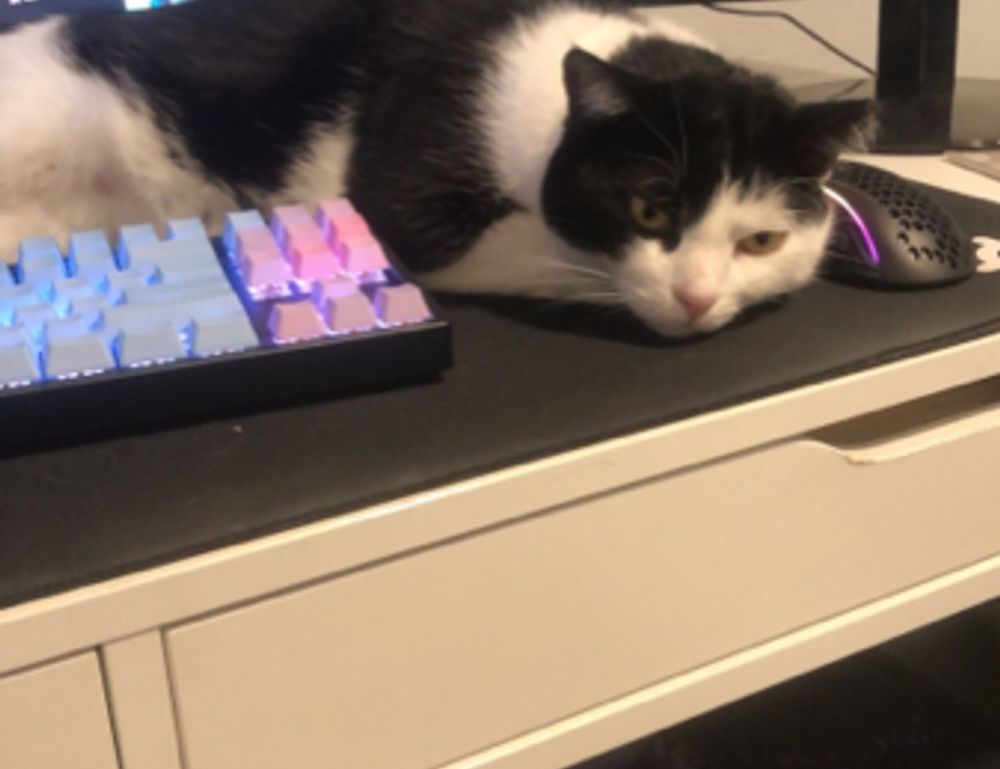 kitchen improvement ideas miprenovate