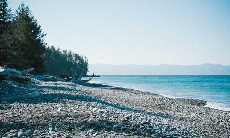 kitchen upgrading advice mintpalment