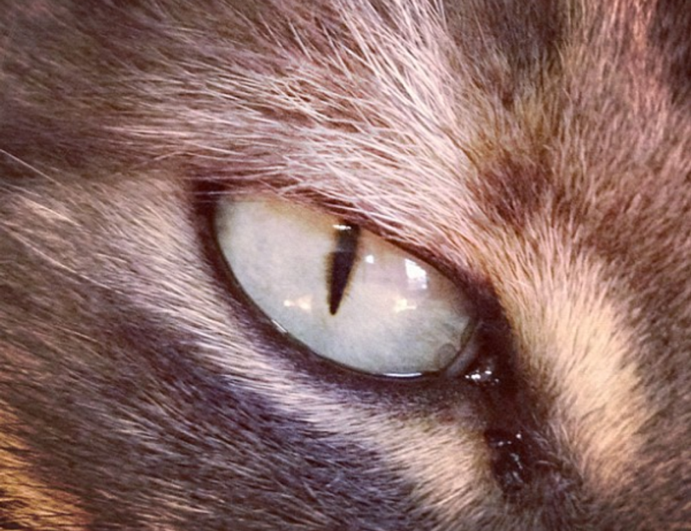 message code dropbox 8737.idj.029.22