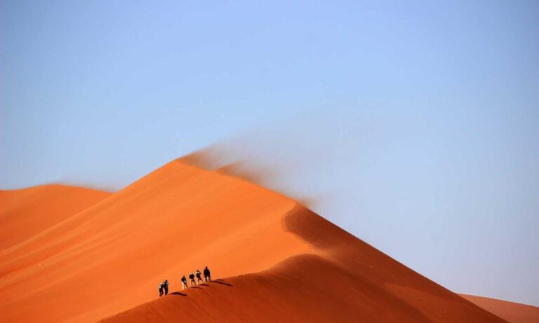 mintpalment home improvements by myinteriorpalace