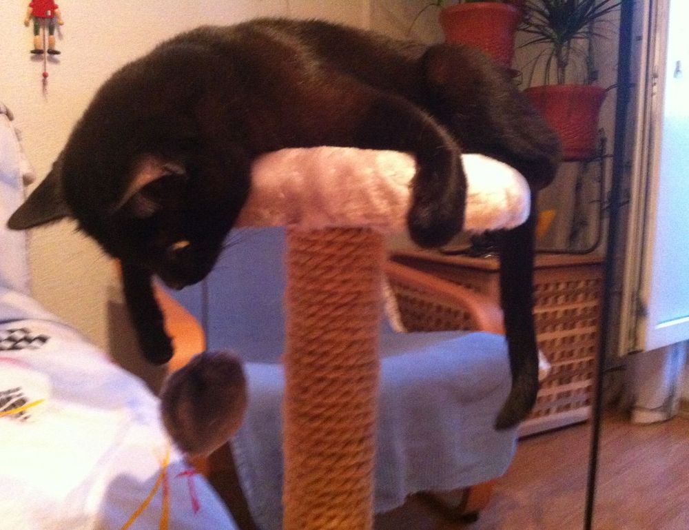 miprenovate renovation tips by myinteriorpalace