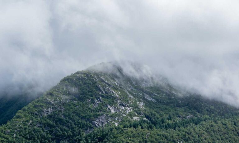 tips for designing a kitchen thtintdesign