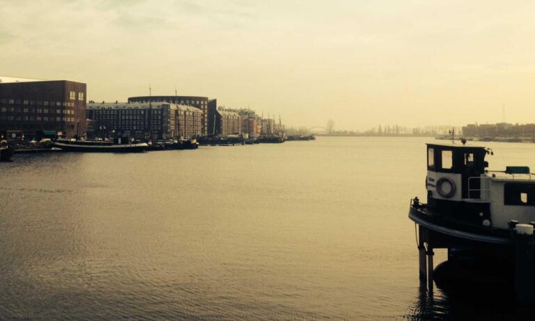 ultimate house guide drhandybility