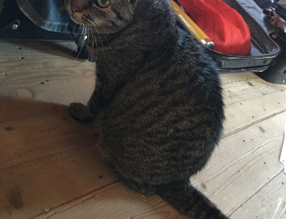 what software do most interior designers use kdadesignology