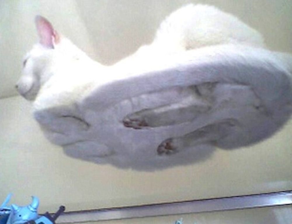 why homiezava hotel so popular