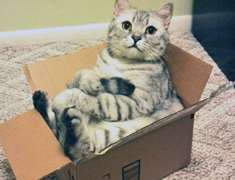 why is uhoebeans software update failing