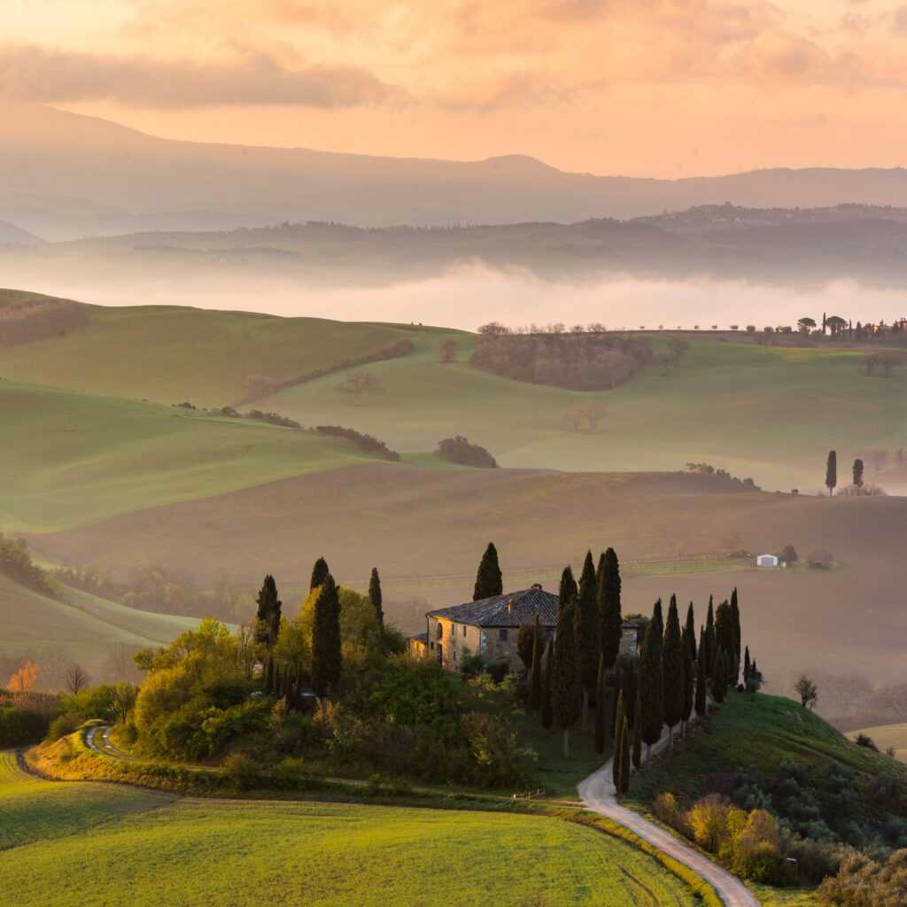 high angle shot of a building isolated on the hill surrounded by tall trees and a pathway