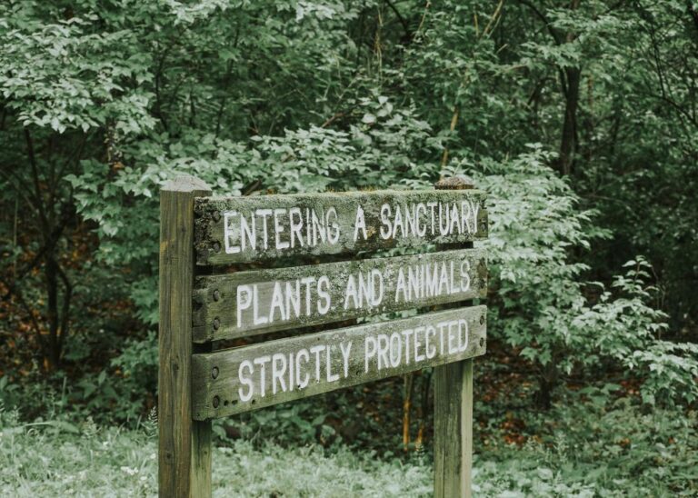 Home Strategic Planting