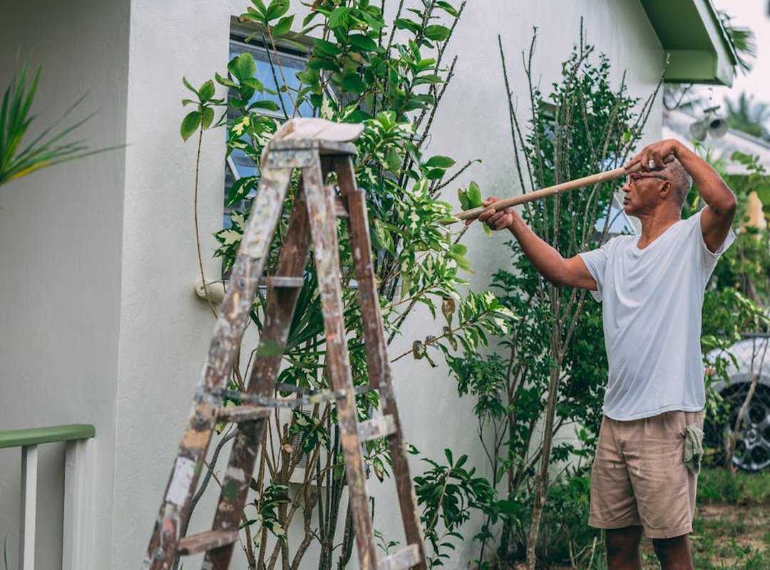 Backyard Renovation Decoradyard