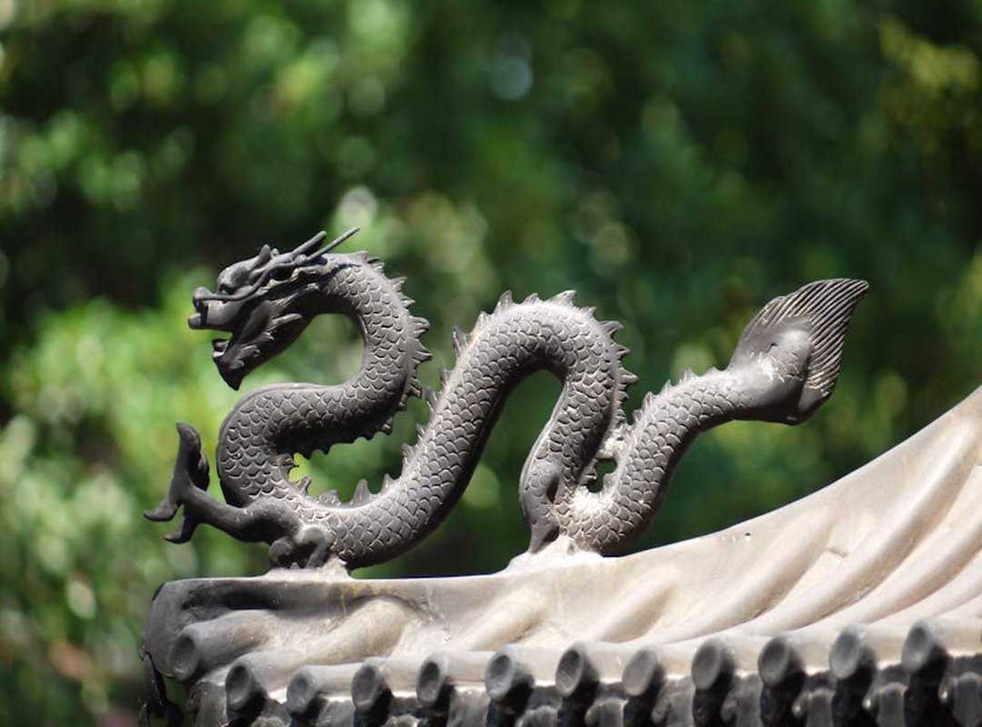 dragon translation.net