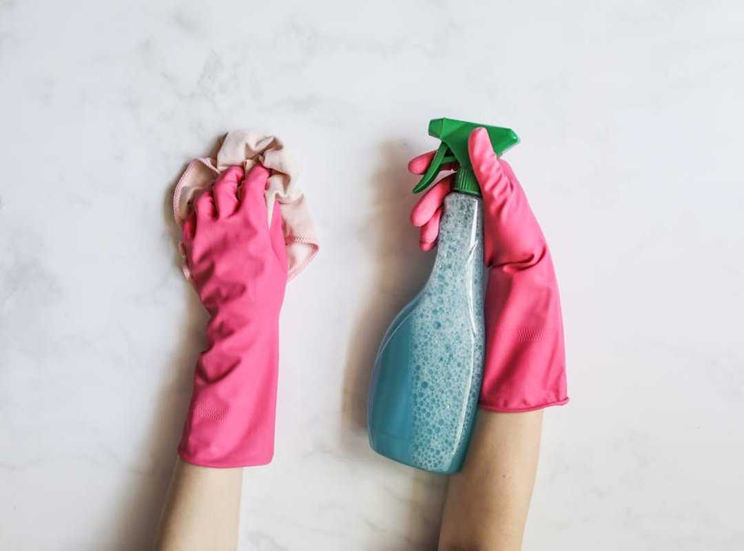 House Cleaning Guide Livpristhome