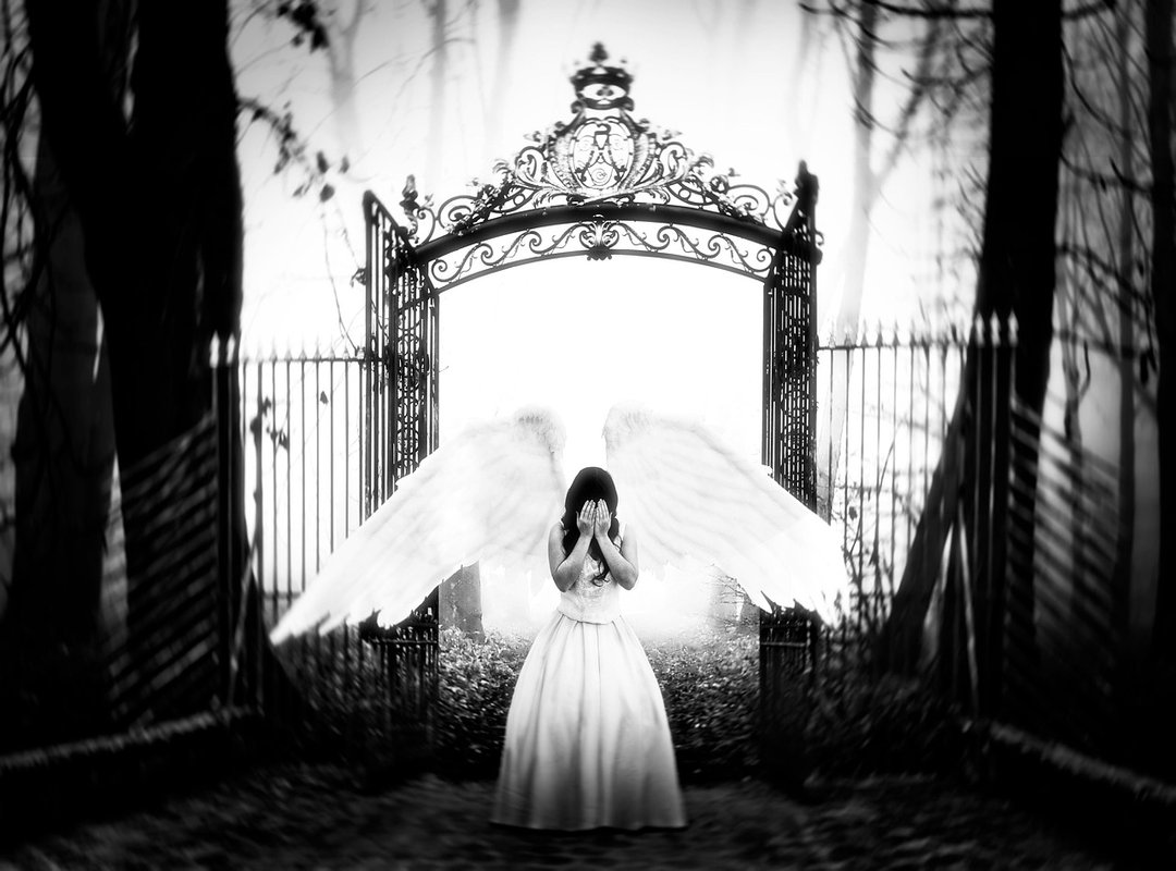 How Should Exterior Shutters Fit Drhextreriorly