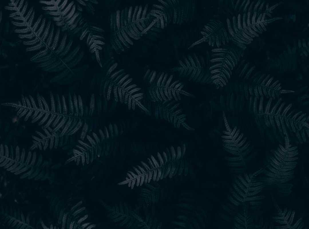 Tips Decoradyard