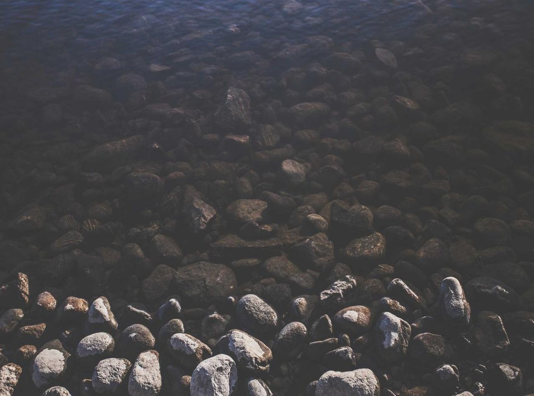 Reporting That Defines a Career: Bachega's Notable Work