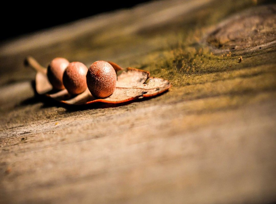 Unlock More Power: Advanced Features Explained