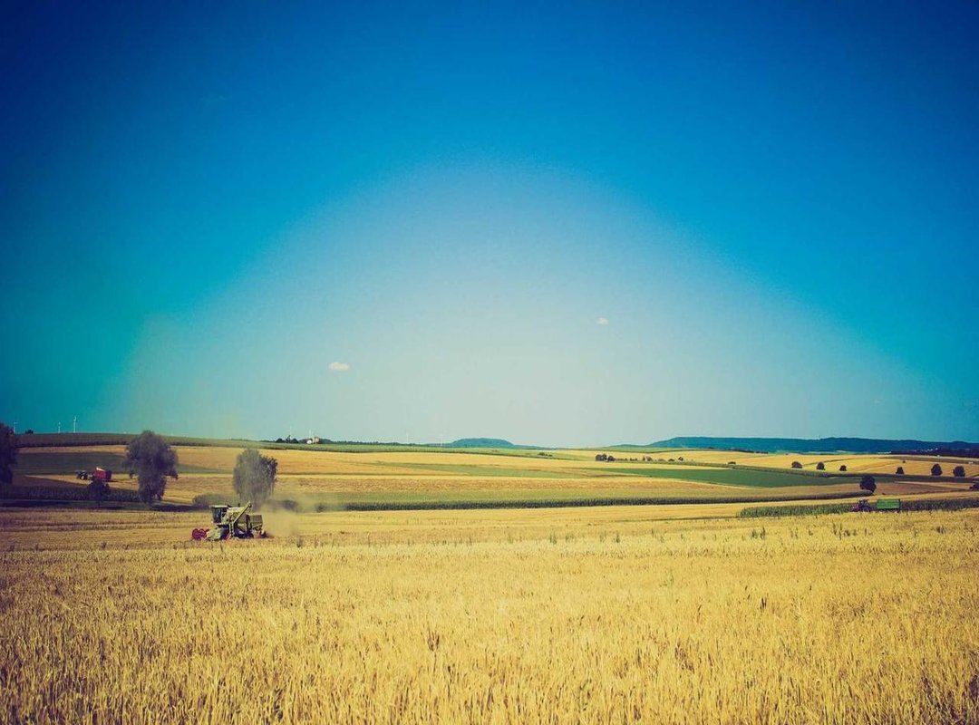 Frequently Asked Questions (FAQs)