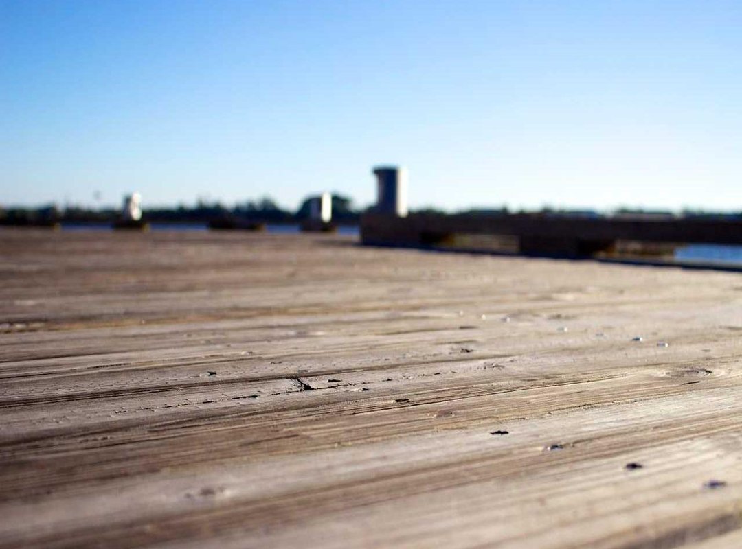 Fueling the Performance: The Nutritional Strategy for Defined Abs