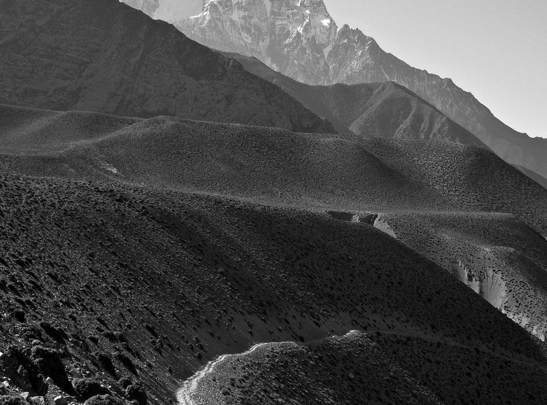 How to Create a Simple Logo Animation: A 5-Step Guide