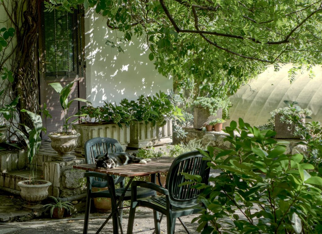 Creating a Well-Maintained Yard with the Right Lawn Equipment